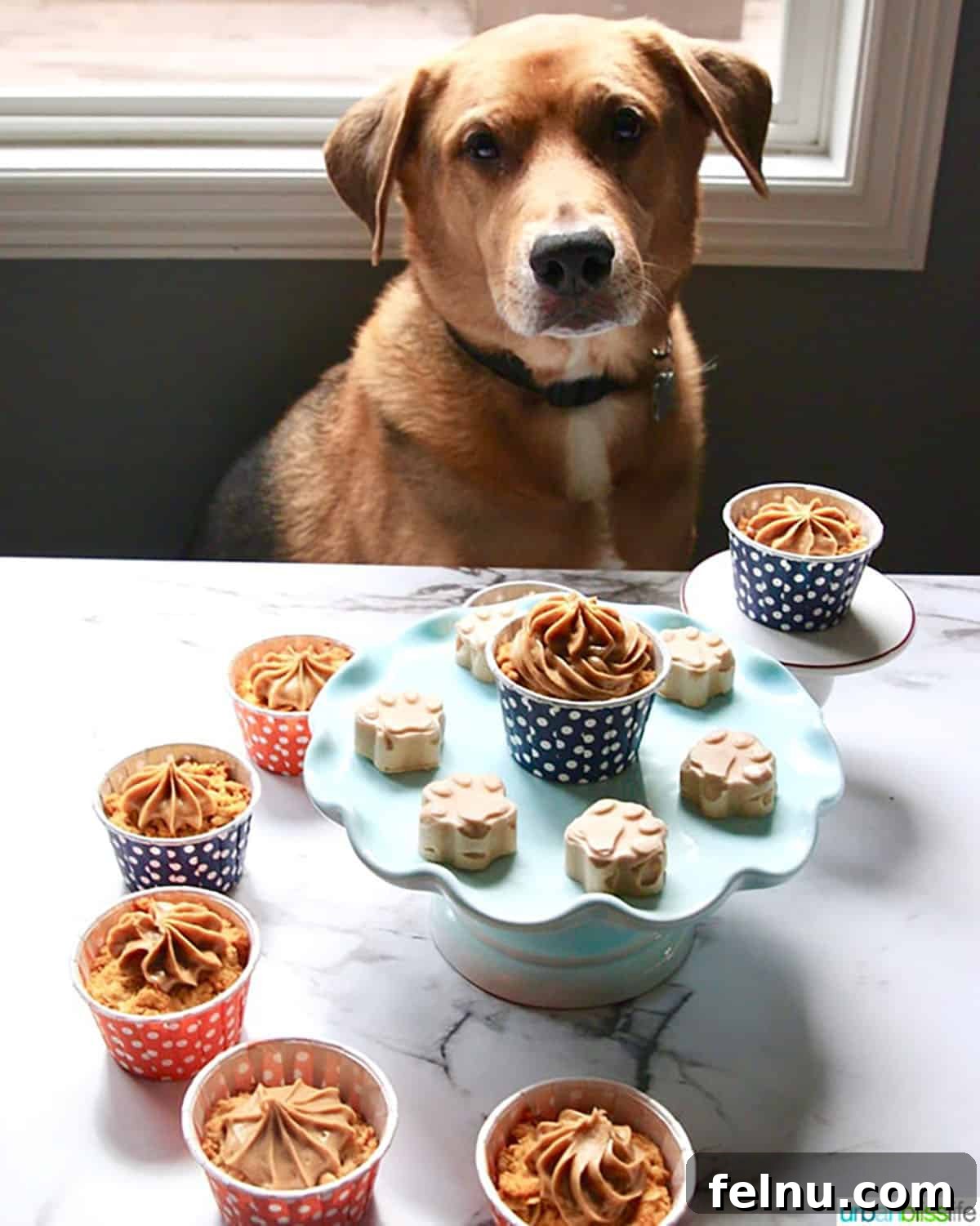 Safe and Unsafe Foods for Dogs 5 brown and white dog surrounded by treats