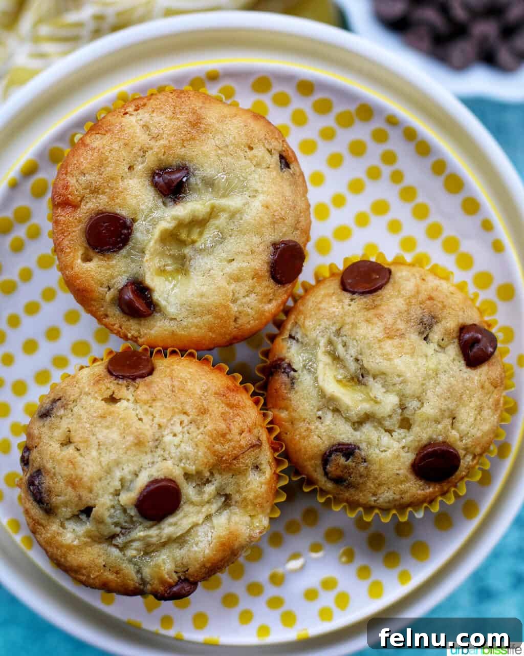 Banana Chocolate Chunk Muffins 2 Three delectable banana chocolate chip muffins on a polka dot plate.