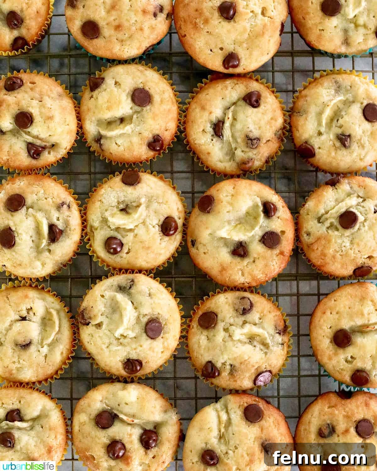 Banana Chocolate Chunk Muffins 11 Rows of freshly baked banana chocolate chip muffins on a cooling rack.