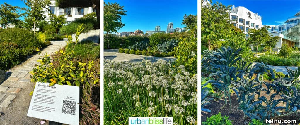The Laurel Point Haven 12 kitchen gardens at the Inn at Laurel Point hotel.