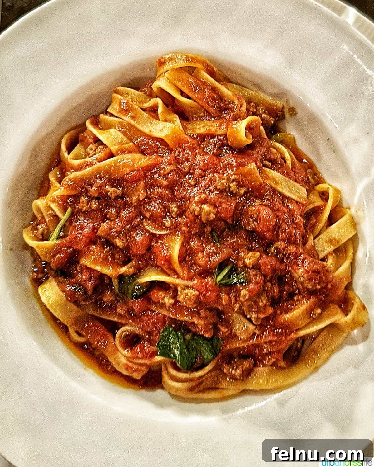 Downtown Victoria's Food Scene 11 A close-up of a rich and comforting Bolognese pasta dish, showcasing its classic Italian flavors, served at Zambri's restaurant.