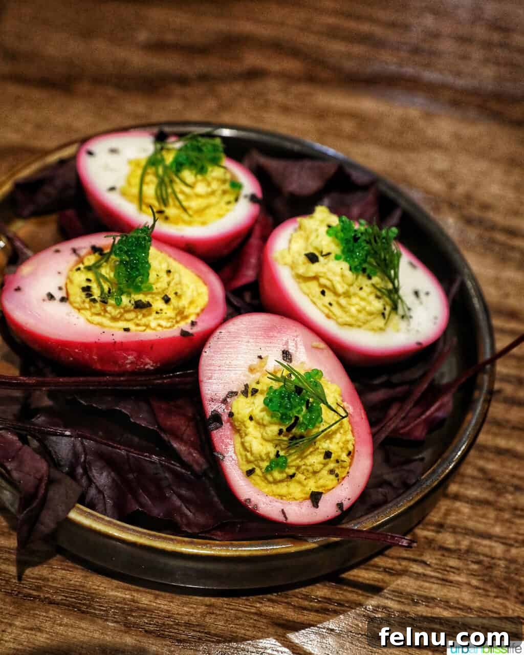 Banff Unleashed 5 Pickled deviled eggs on a dark plate, garnished with fresh dill.