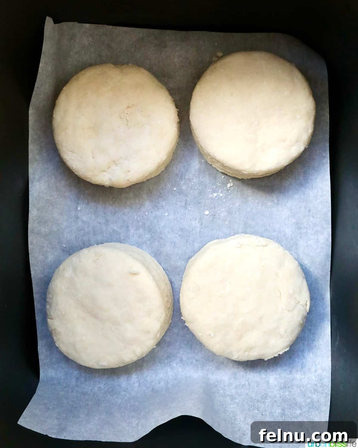 Fluffy Air Fryer Biscuits 12 four biscuit rounds placed in an air fryer basket.