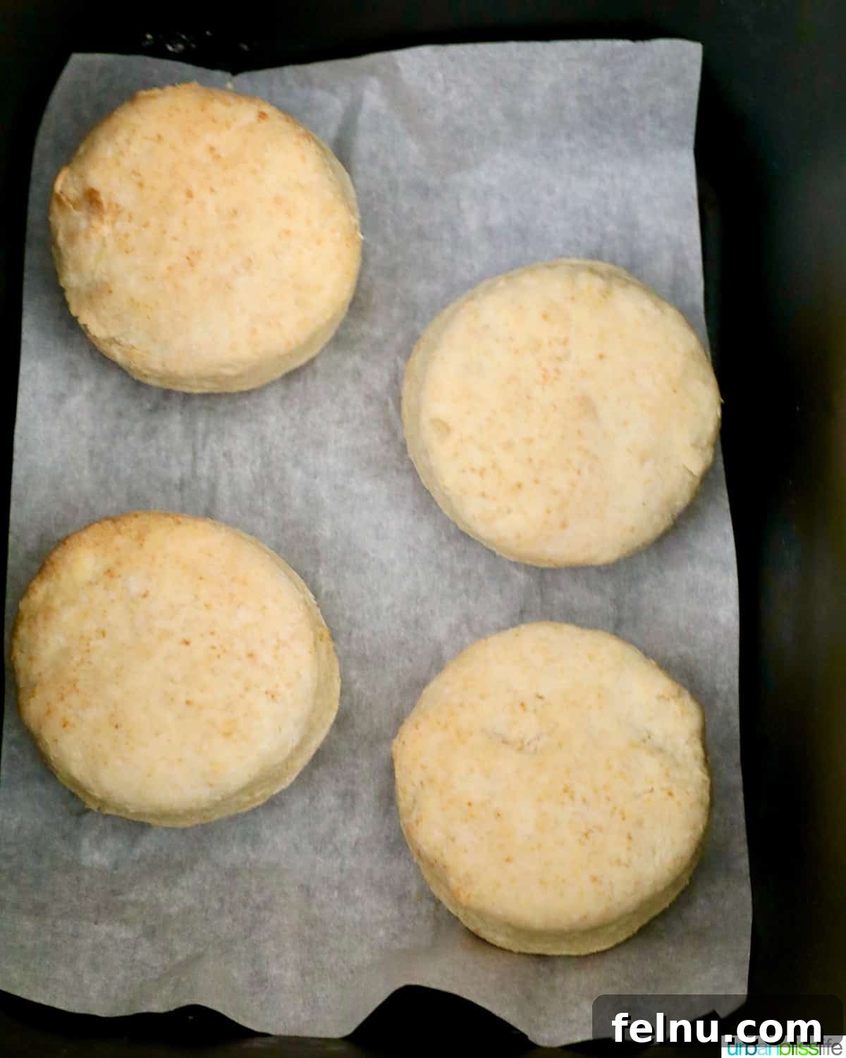 Fluffy Air Fryer Biscuits 13 air fried biscuits just cooked in an air fryer basket.