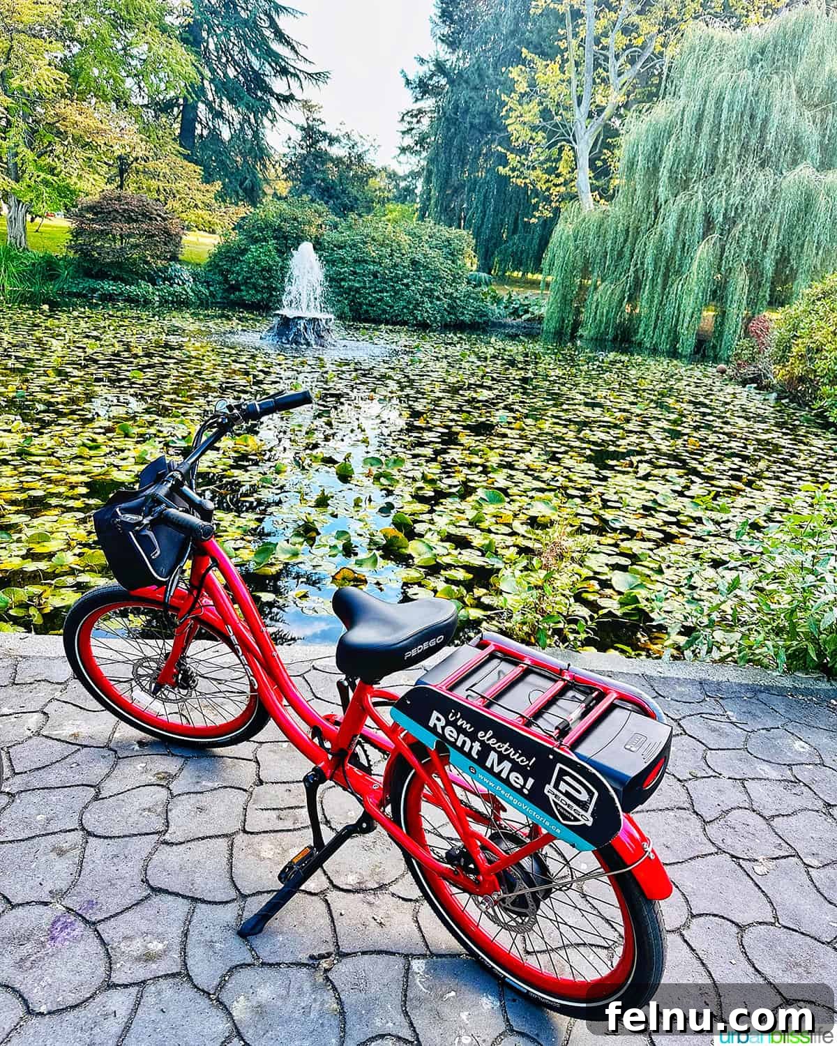 Several e-bikes parked neatly in a lush green area in Victoria, BC, ready for rental.