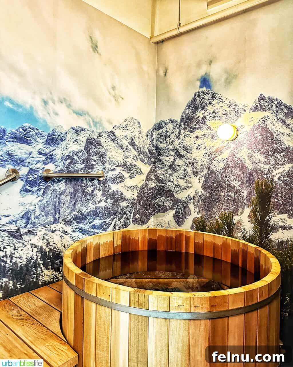 A tranquil ice plunge pool at Ritual Nordic Spa, designed for a refreshing cold therapy experience.