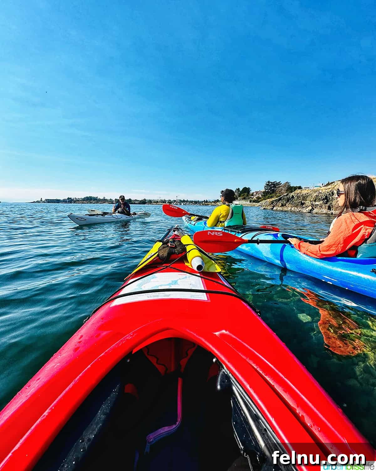 A vibrant red kayak in Victoria, BC Harbour, with other kayaks and the city skyline in the background.