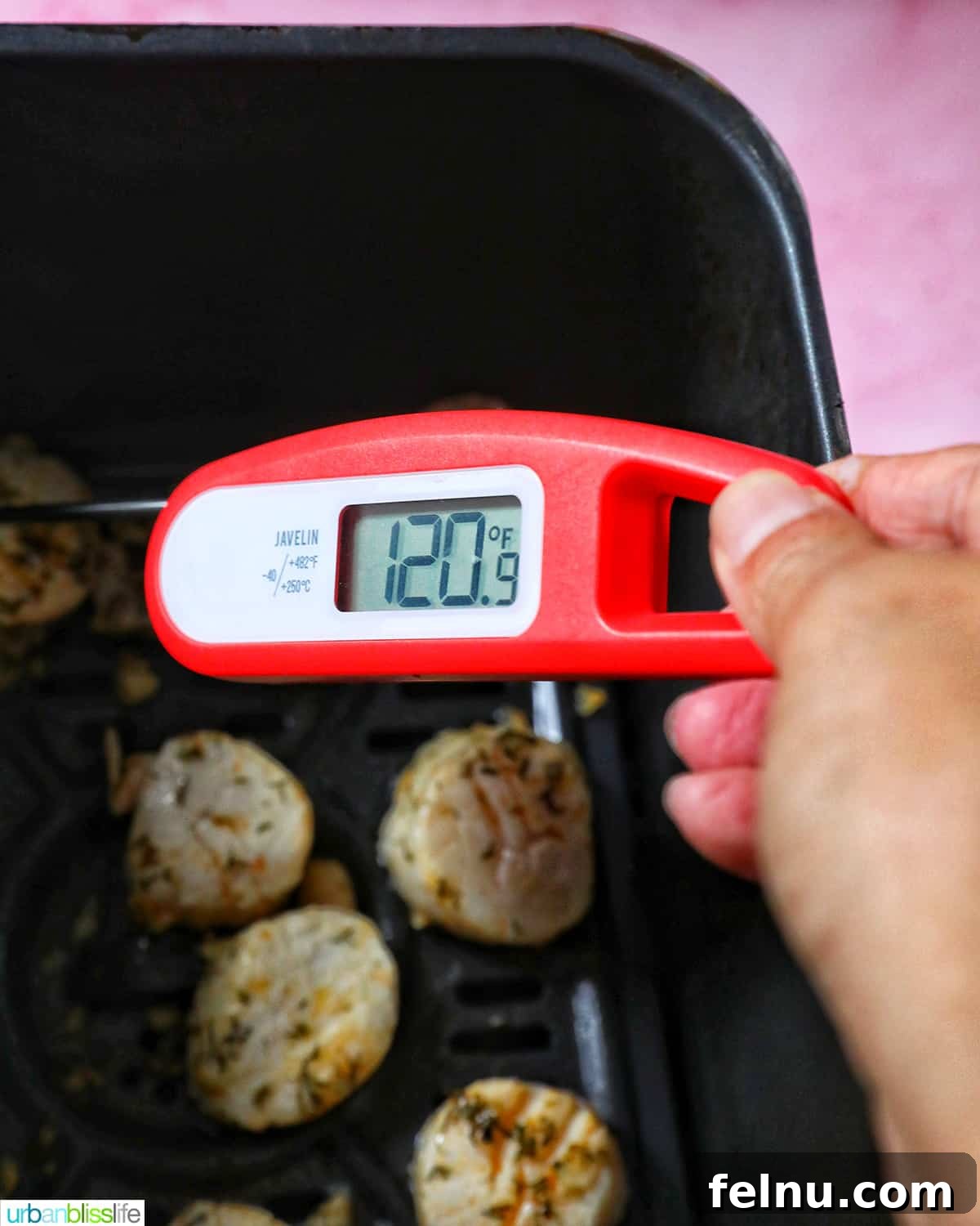 Golden Air Fryer Scallops 8 thermometer reading 120 degrees over an air fryer with cooked scallops in the basket.