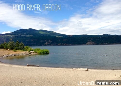 Portland to Hood River: A Gorge-ous Road Trip 8 Hood River Waterfront Park
