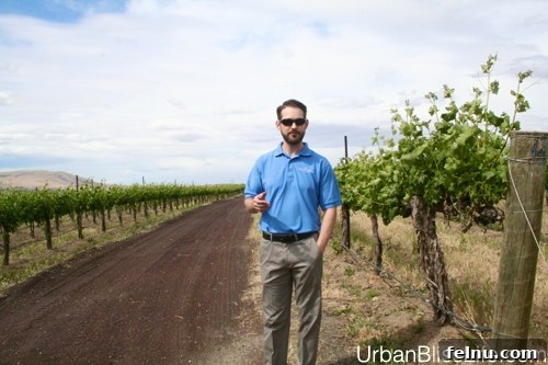 Terra Blanca Winery Terra Blanca and Arch Terrace Wines 7 Tour guide explaining viticulture in the Terra Blanca vineyards