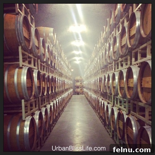 Terra Blanca Winery Terra Blanca and Arch Terrace Wines 8 Rows of oak barrels aging wine in the Terra Blanca underground caves