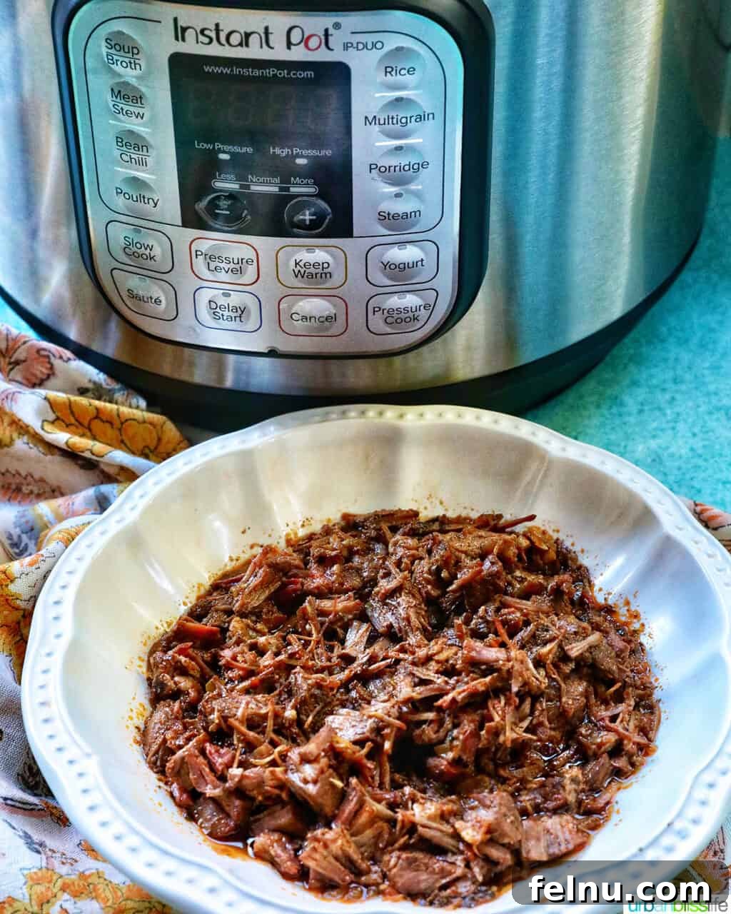 Slow-Cooker Fiesta Shredded Beef 17 Bowl of Mexican shredded beef with Instant Pot pressure cooker in background.