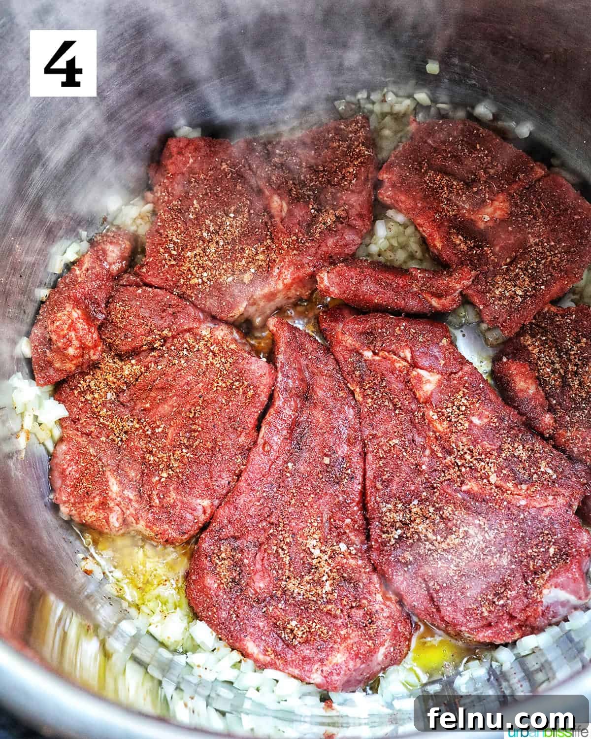 Slow-Cooker Fiesta Shredded Beef 8 Seasoned beef in the Instant Pot.