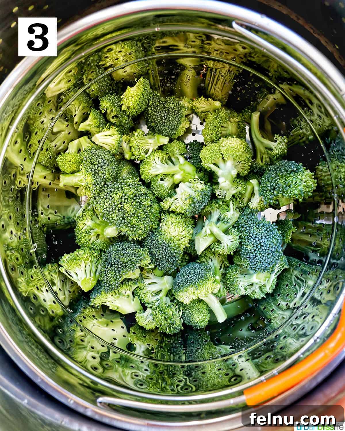 Perfect Instant Pot Broccoli 7 broccoli florets in a steamer basket.