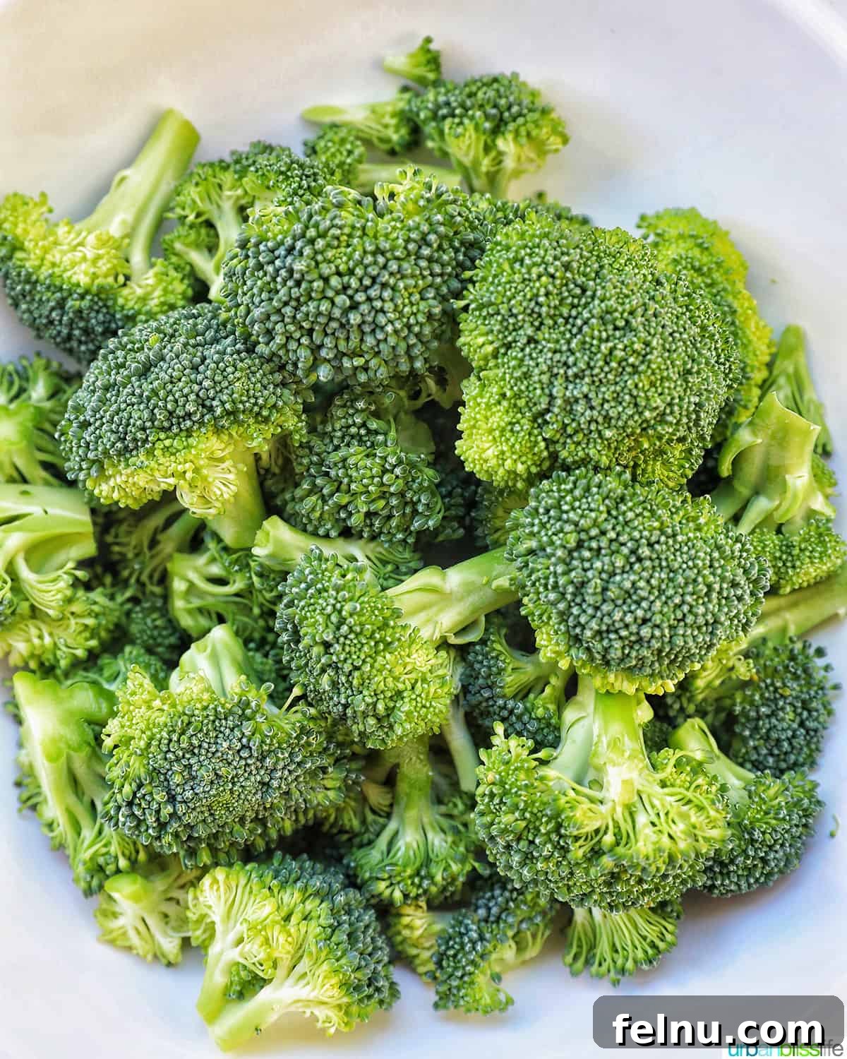 Perfect Instant Pot Broccoli 9 raw broccoli florets in a bowl.