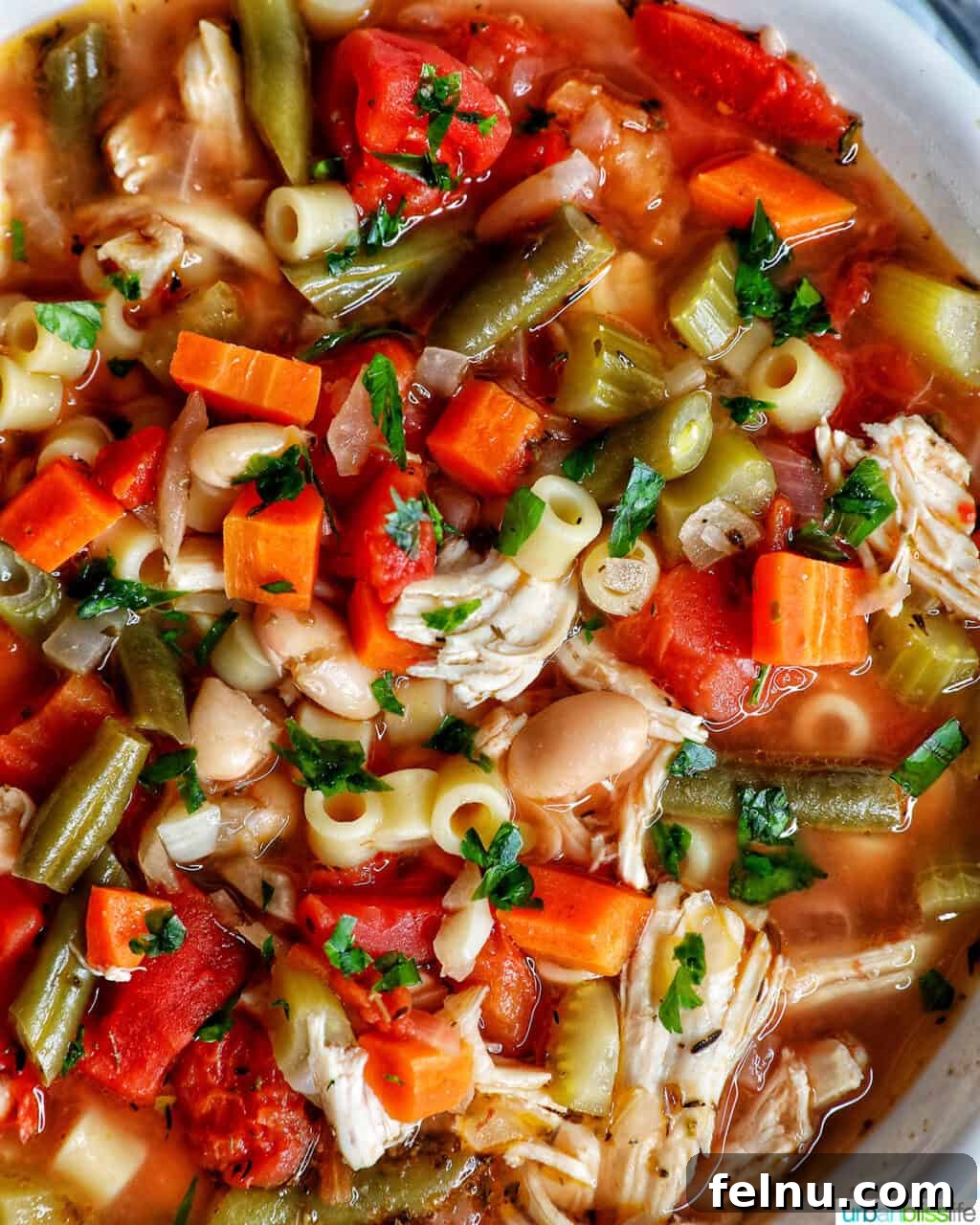 Chicken Minestrone Soup Delight 15 A close-up of Chicken Minestrone Soup in a white bowl, highlighting the variety of vegetables and textures in the soup.
