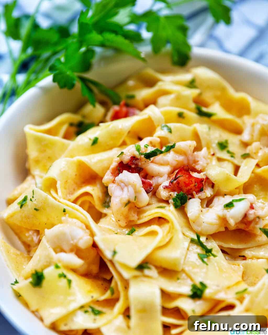 Luxurious Lobster Pasta 14 side angle view of bowl of lobster pasta with side of parsley, ready to eat.