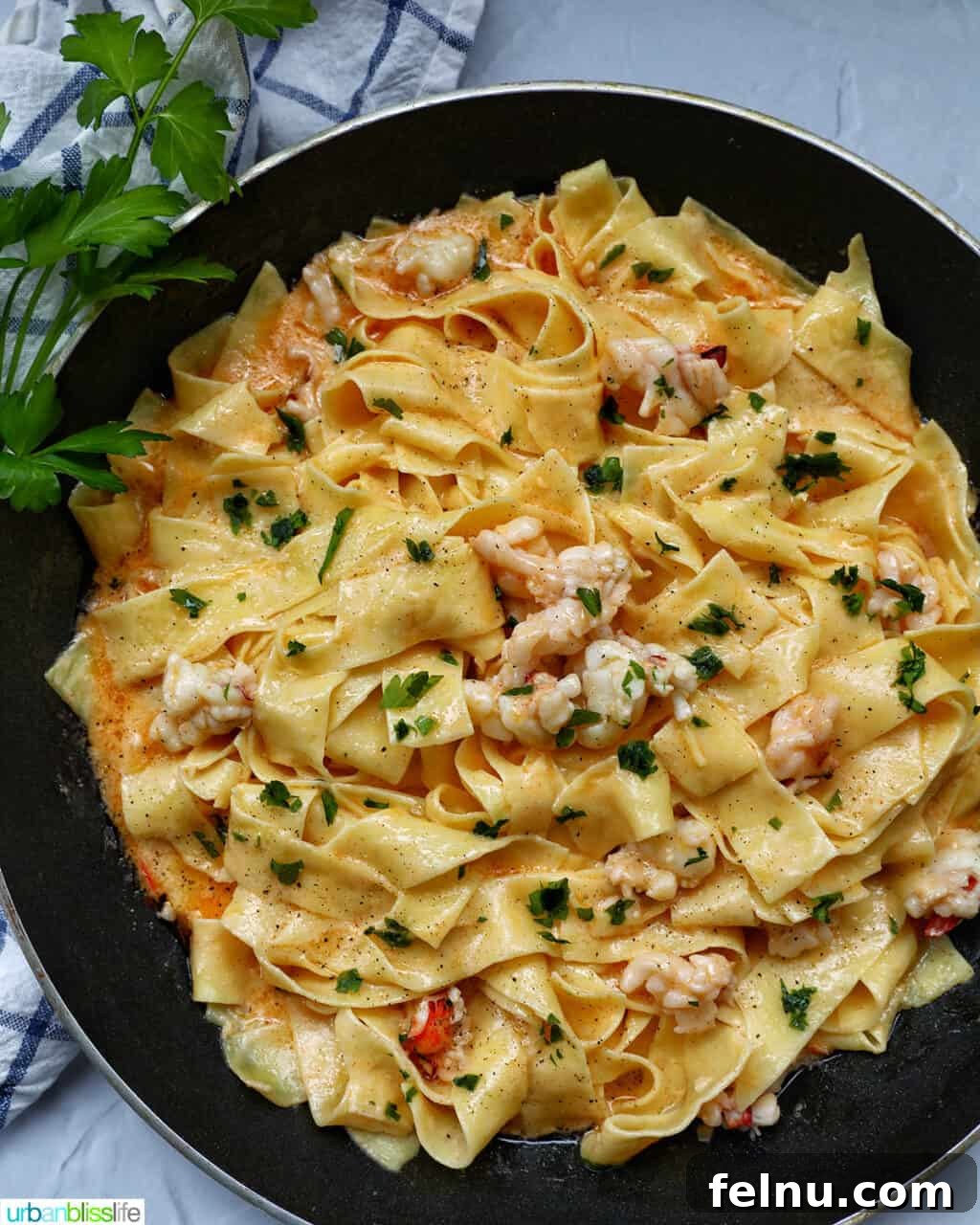 Luxurious Lobster Pasta 17 lobster with pappardelle pasta in a nonsick skillet, ready to serve.