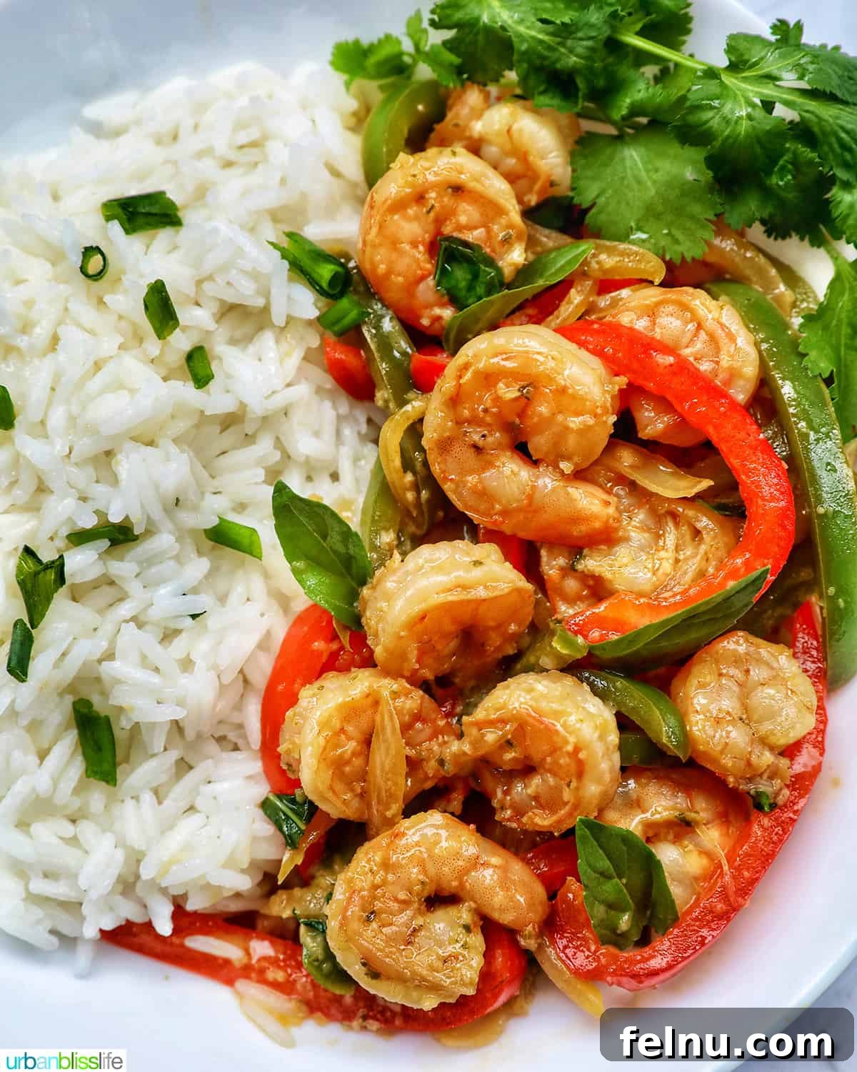 Thai Basil Prawn Stir-Fry 3 Delicious Thai Basil Shrimp served over a bed of rice.