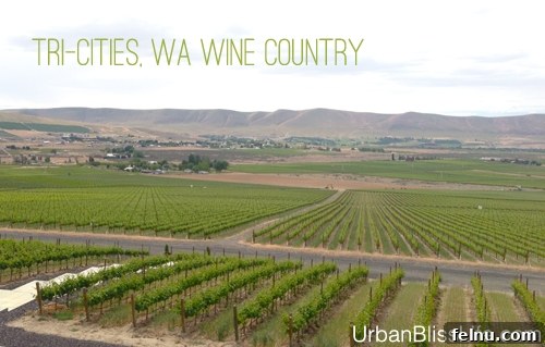 Washington's Tri-Cities: Where Wine Meets the Desert 2 Scenic vineyard views in Tri-Cities, Washington Wine Country