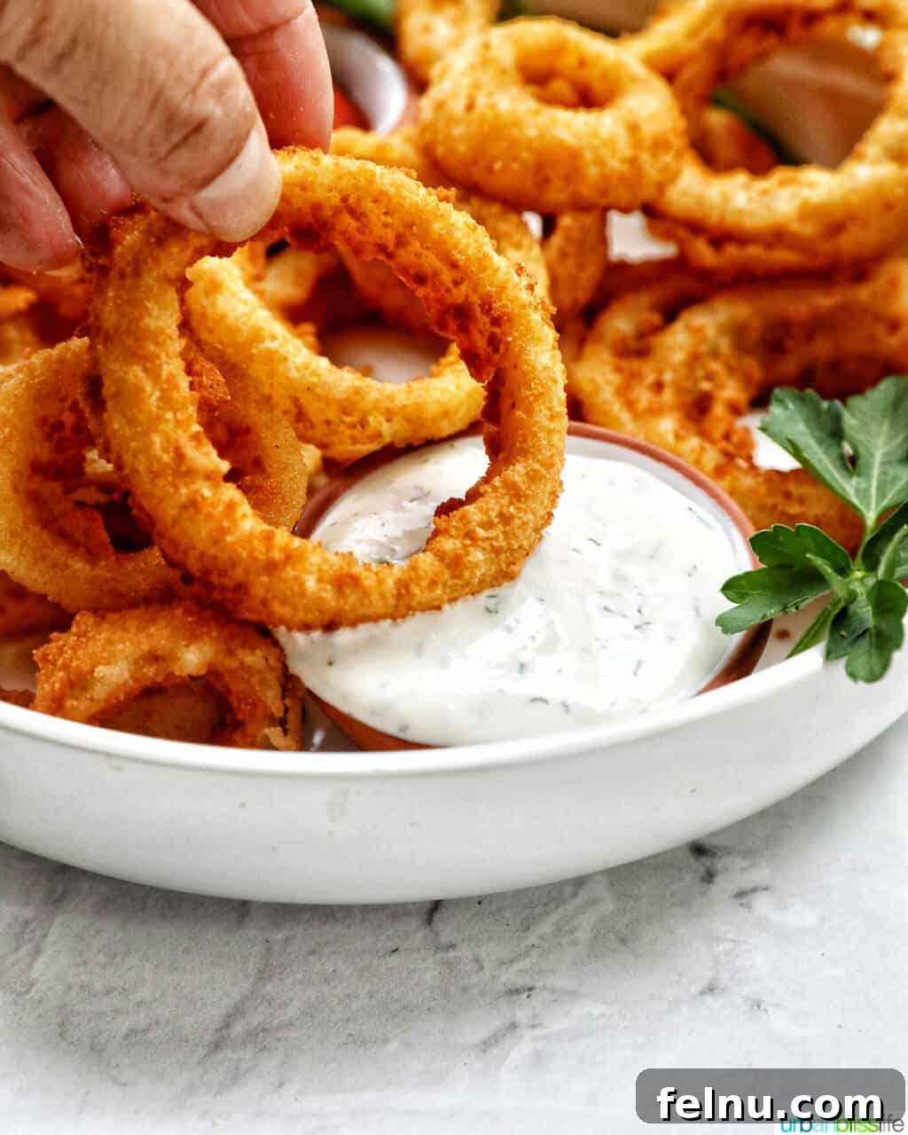 Air Fryer Frozen Onion Rings: Crispy Perfection 9 Dipping an onion ring into ranch dressing