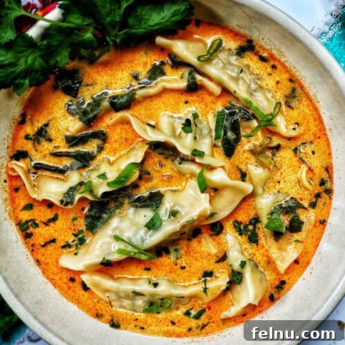 Vegan Delight: Fresh Summer Rolls 14 A steaming bowl of Thai red curry dumpling soup, a comforting and flavorful dish with delicate dumplings in a rich, aromatic broth.