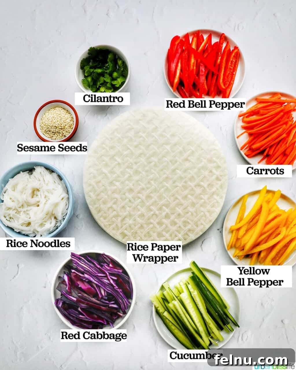 Vegan Delight: Fresh Summer Rolls 4 A colorful array of sliced vegetables and translucent rice paper wrappers, ready to be transformed into delicious vegan summer rolls.