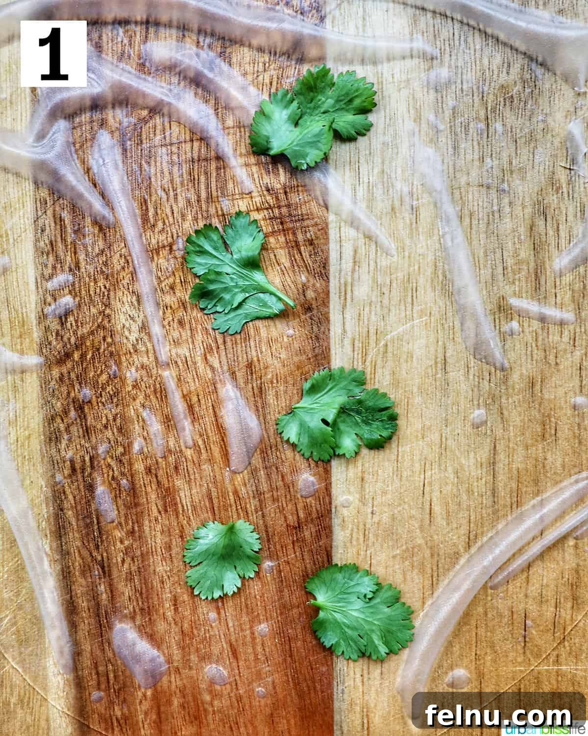 Vegan Delight: Fresh Summer Rolls 5 A rice paper roll with fresh cilantro leaves placed on a wooden cutting board, ready for the next layer of fillings.