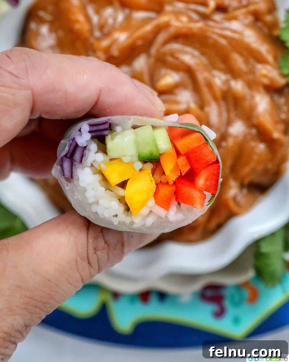 Vegan Delight: Fresh Summer Rolls 10 A hand holding a sliced-open vegan rainbow roll above a bowl of creamy Thai peanut sauce, ready for dipping and enjoyment.