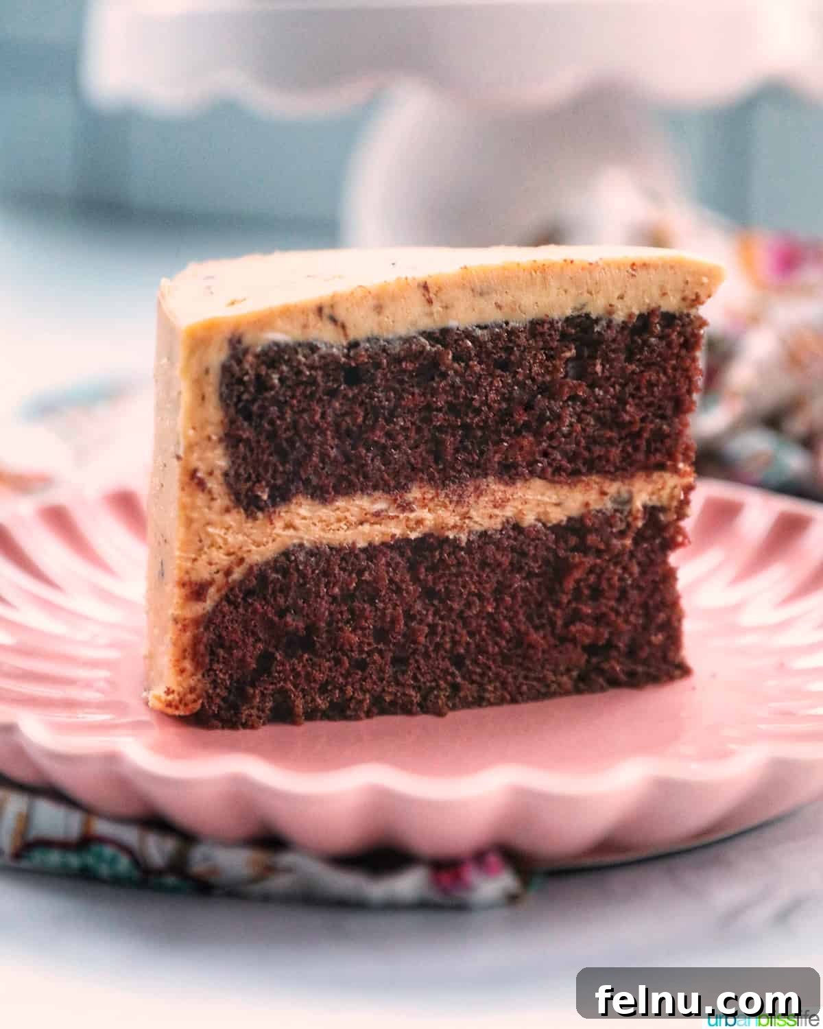 Chocolate Coffee Cake
Delicious Mocha Cake 2 Slice of chocolate coffee cake on a pink plate