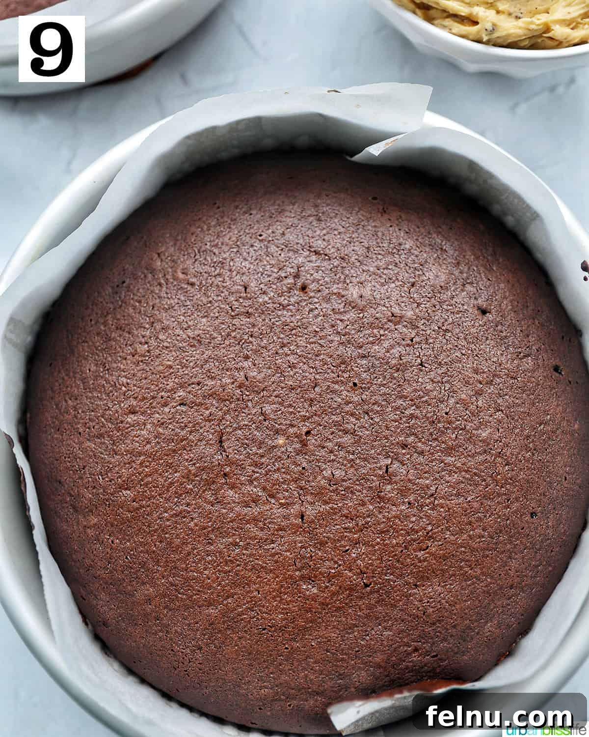 Chocolate Coffee Cake
Delicious Mocha Cake 15 Chocolate coffee cake step 9