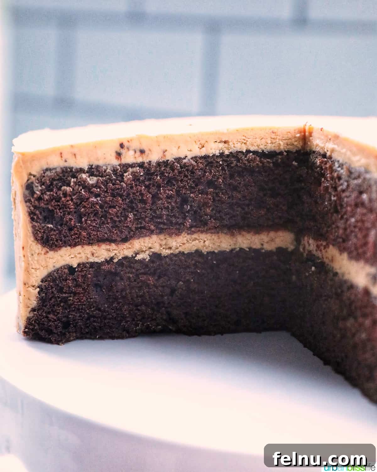 Chocolate Coffee Cake
Delicious Mocha Cake 20 Chocolate coffee cake sliced open to show layers
