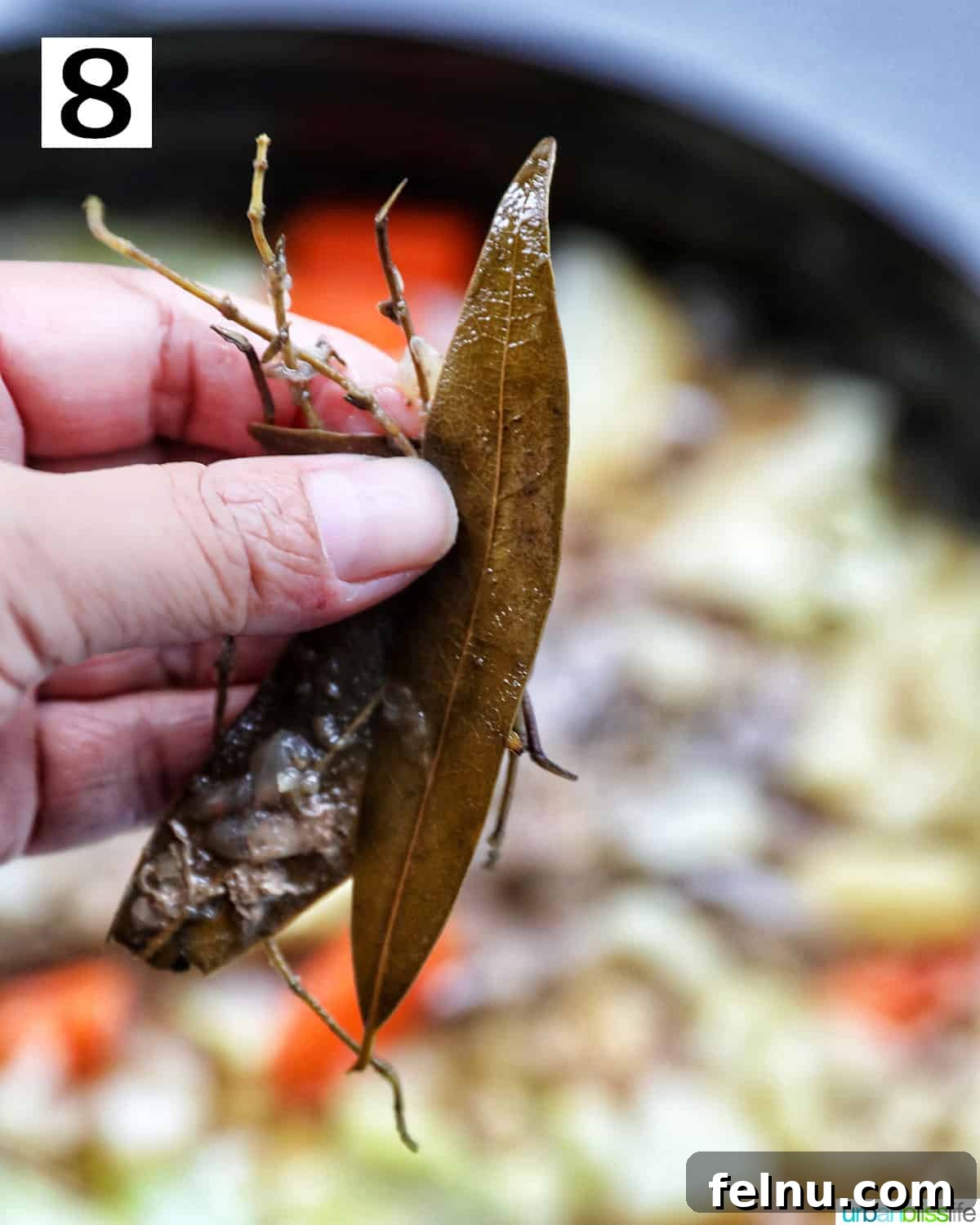 Tender Dutch Oven Brisket 13 hand holding up cooked bay leaves and thyme sprigs above a dutch oven with brisket and vegetables.