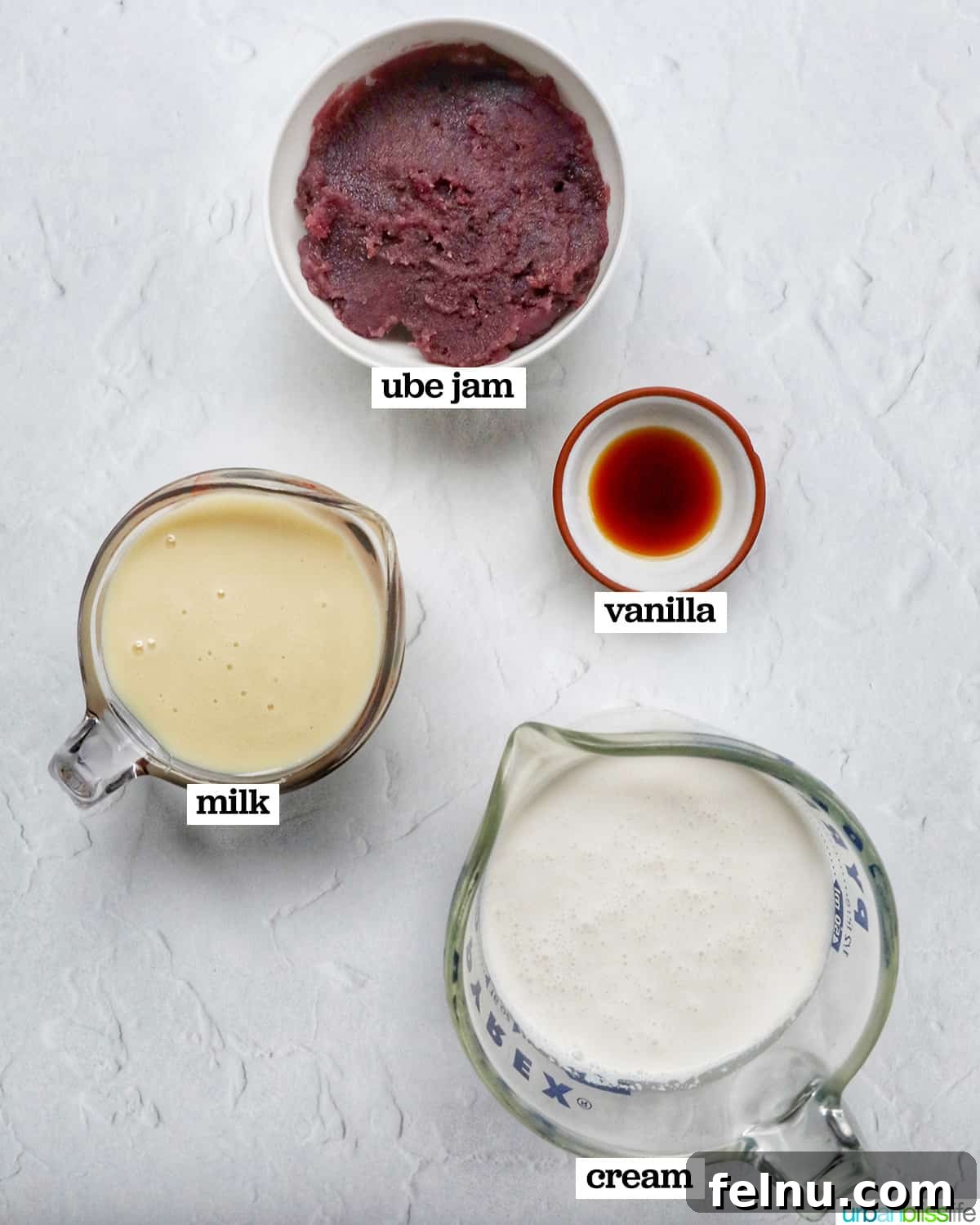 Ingredients for homemade ube ice cream: ube jam, ube powder, heavy cream, condensed milk, and vanilla extract