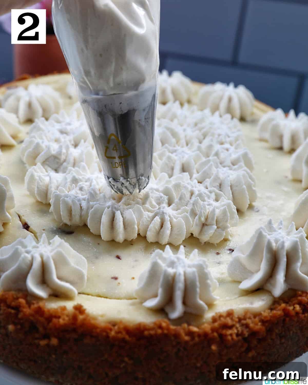 Easter Egg Delight Cheesecake 20 Piping whipped cream on top of the cheesecake.