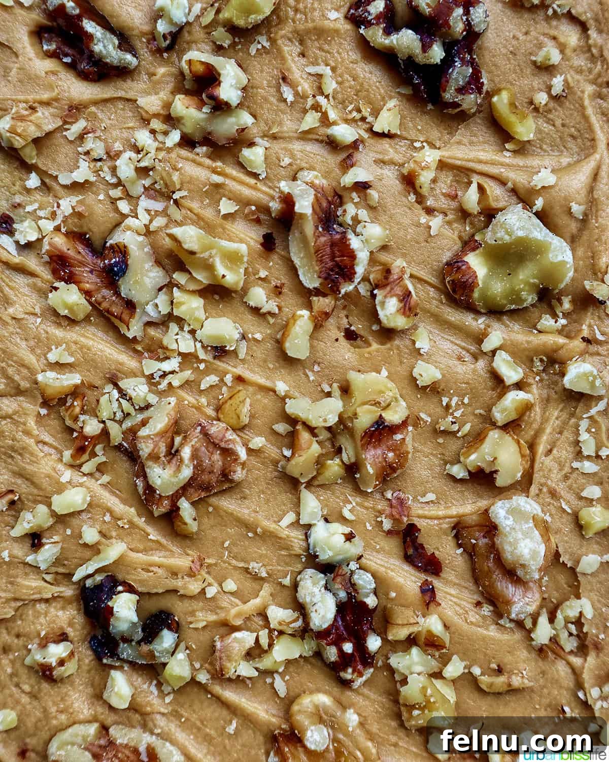 Coffee Walnut Cake 13 Coffee Frosting with Walnuts