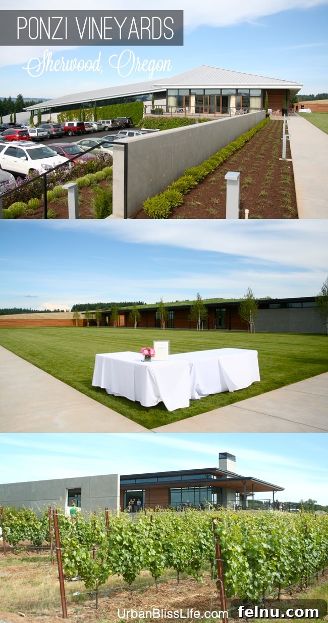 Ponzi Vineyards: A Legacy of Oregon Wine 3 Exterior of Ponzi Winery: A modern architectural marvel.
