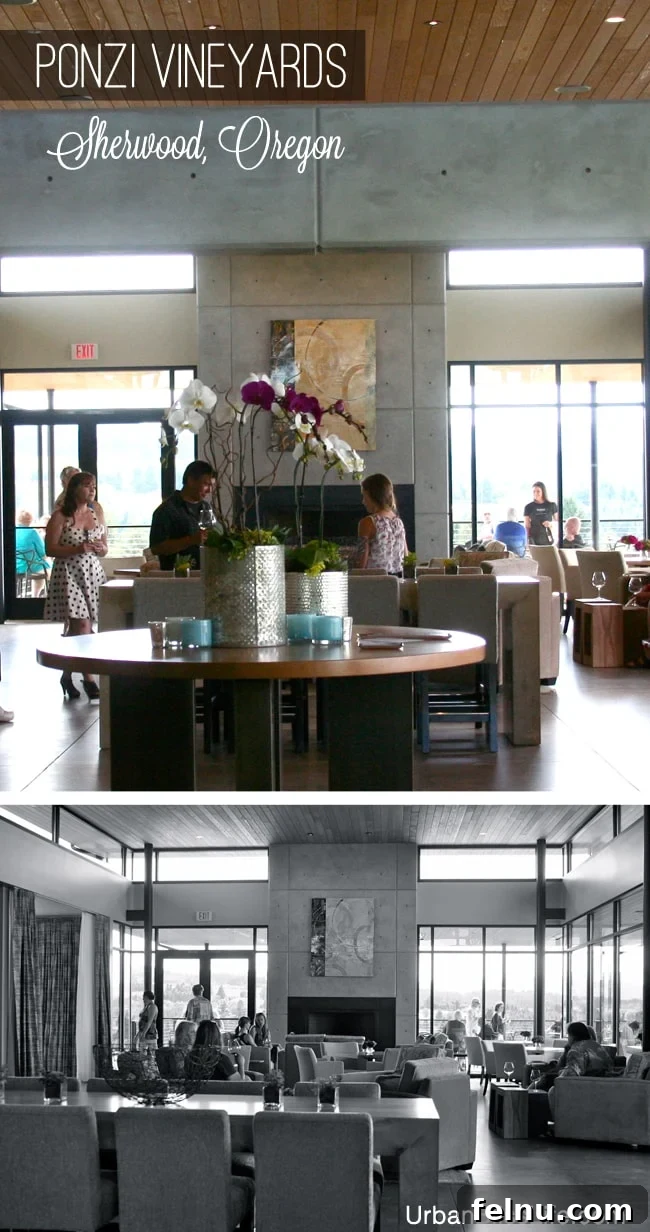 Ponzi Vineyards: A Legacy of Oregon Wine 4 Ponzi Winery Interior: Elegant and inviting tasting room.
