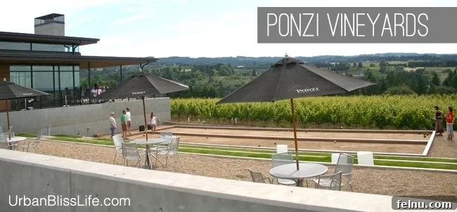 Ponzi Vineyards: A Legacy of Oregon Wine 5 Ponzi Winery Bocce Ball Courts: A touch of European charm.