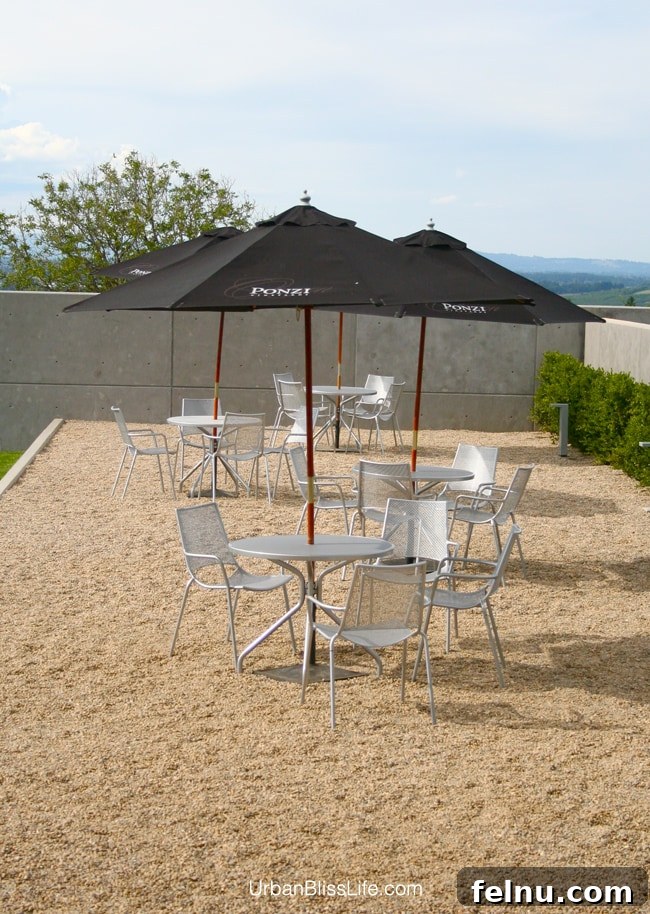 Ponzi Vineyards: A Legacy of Oregon Wine 6 Ponzi Winery Patio Seating: The perfect spot to relax and enjoy.