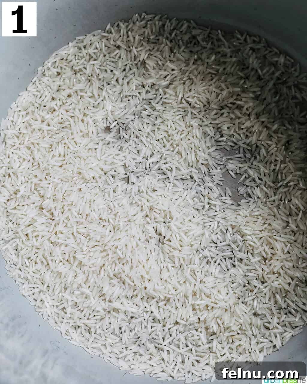 Fluffy Instant Pot Basmati Rice 5 white basmati rice uncooked placed into the pot of an Instant Pot pressure cooker.