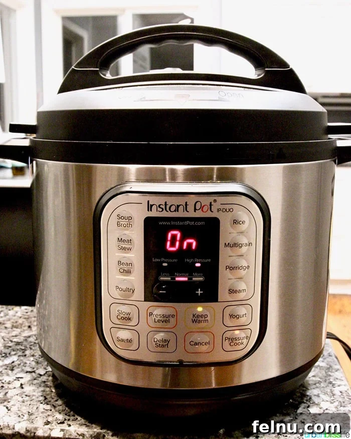 Fluffy Instant Pot Basmati Rice 9 Instant Pot Pressure Cooker used for UrbanBlissLife.com recipes