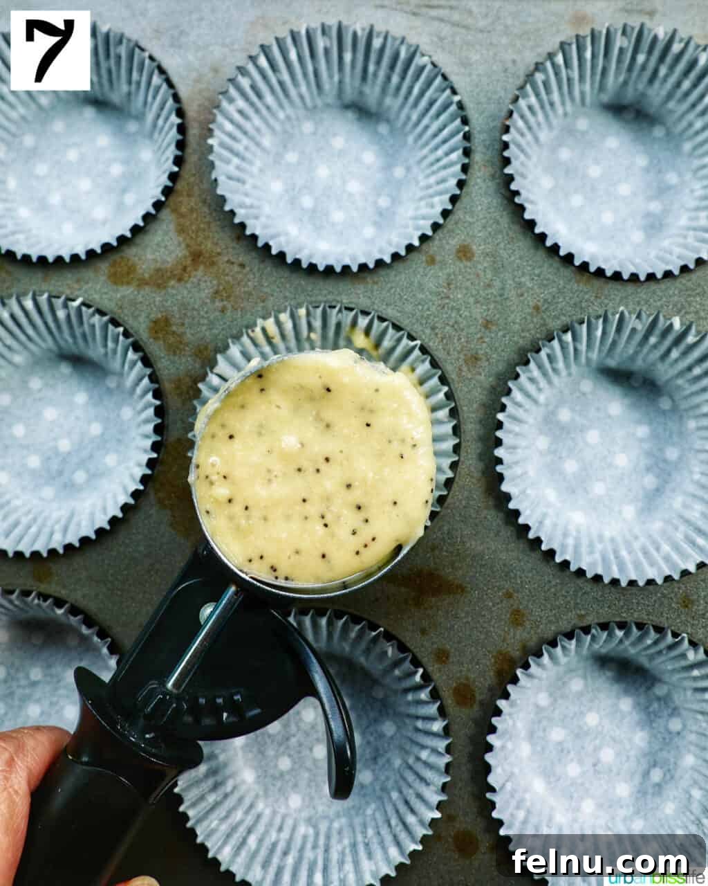 Lemon Poppy Seed Dream Cupcakes 13 large cookie scoop with cupcake batter over a muffin tin lined with cupcake liners.