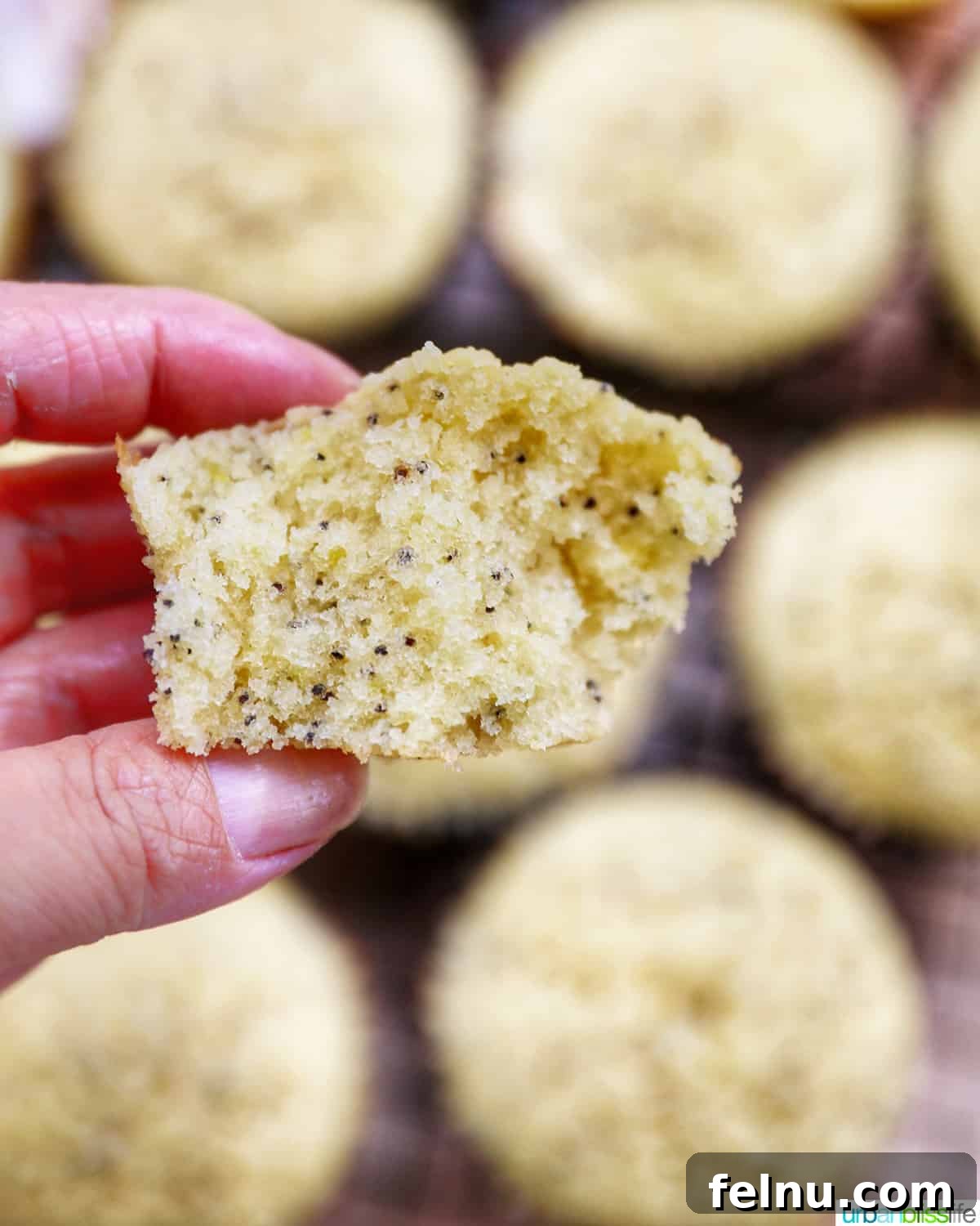 Lemon Poppy Seed Dream Cupcakes 16 Hand holding half of a lemon poppyseed cupcake.