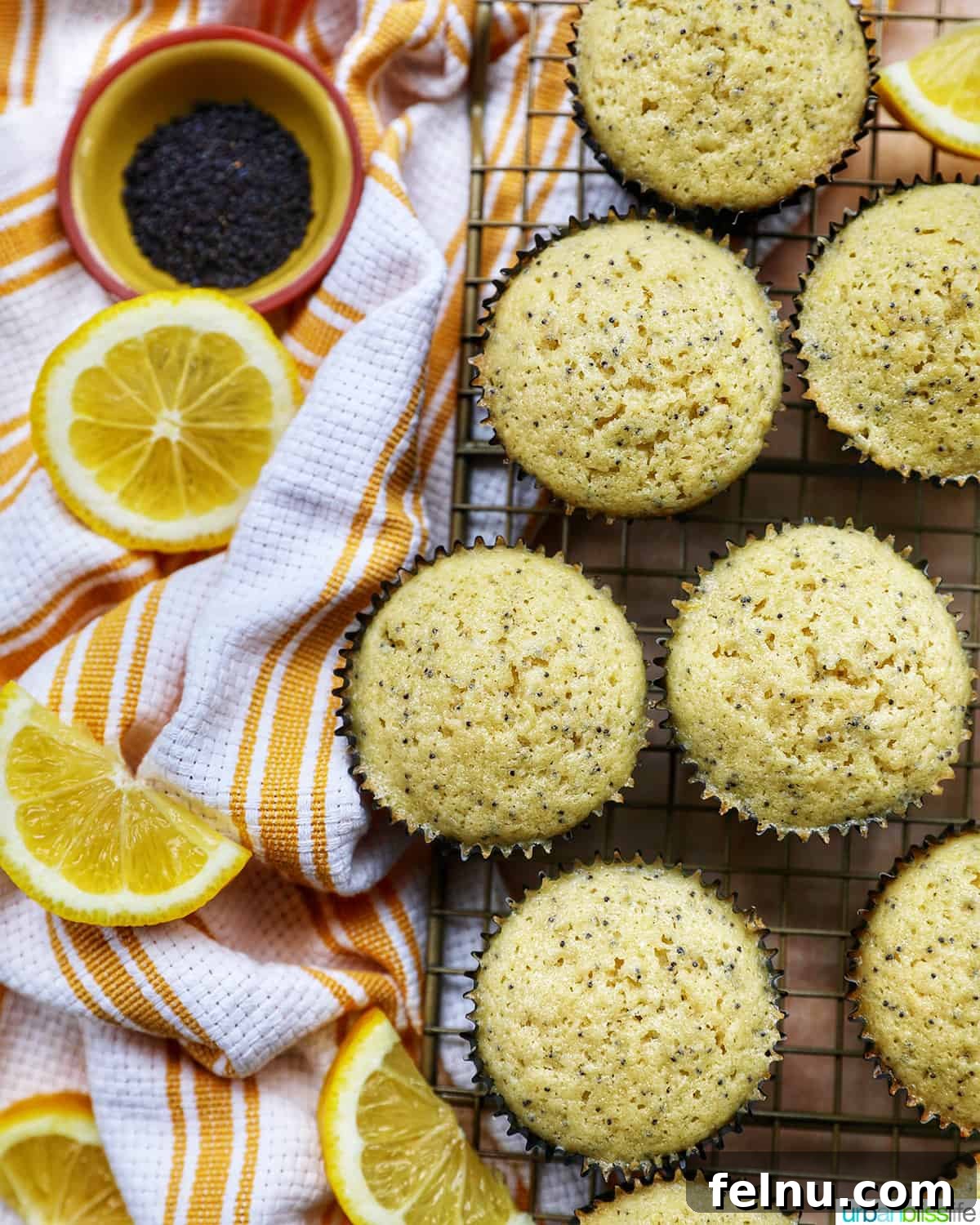 Lemon Poppy Seed Dream Cupcakes 17 Undecorated lemon poppyseed cupcakes next to each other on a cooling rack with side of lemon slices and bowl of poppyseeds.
