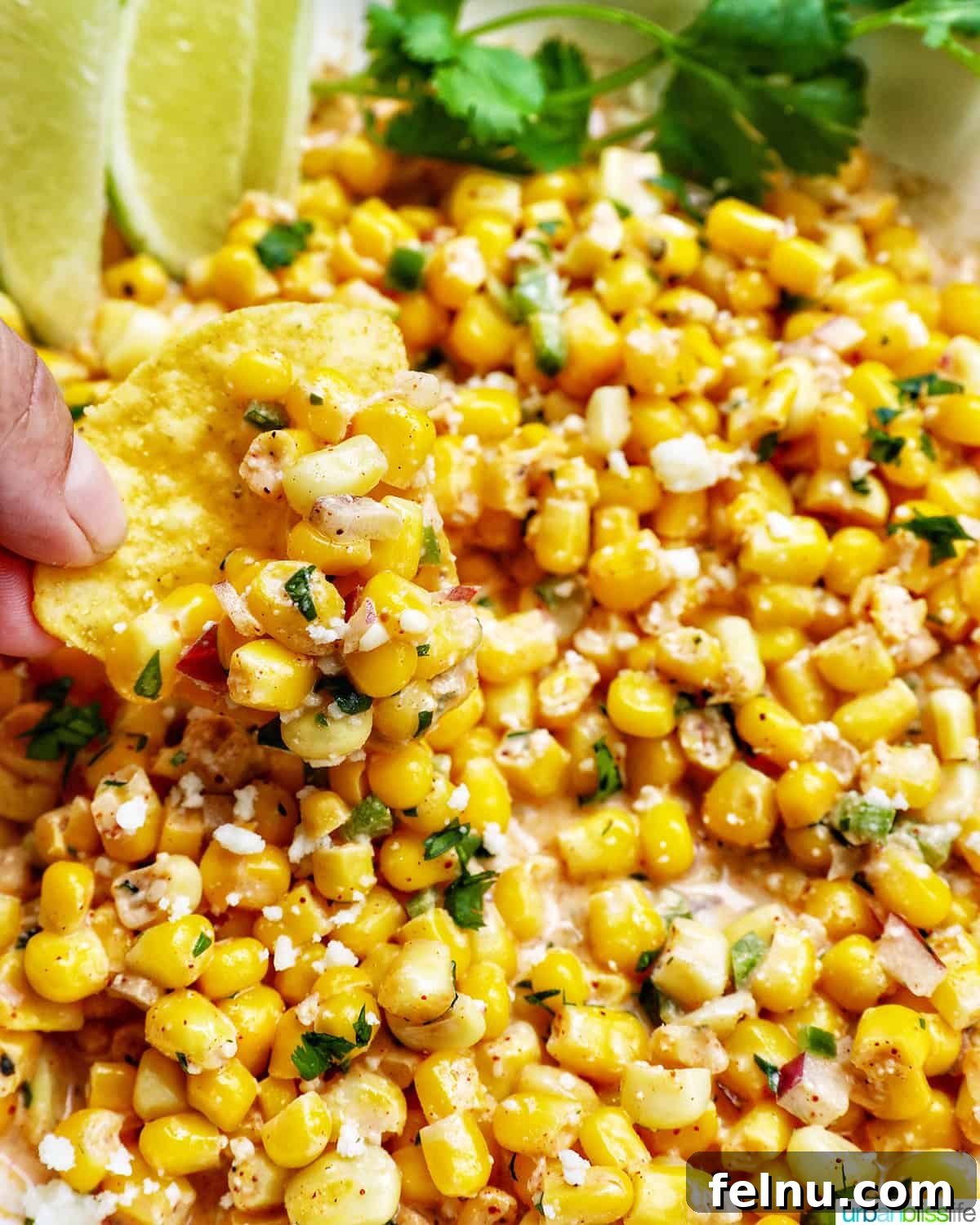 Mexican Street Corn Fiesta Dip 3 A hand dipping a crispy tortilla chip into a large, inviting bowl of Elote Corn Dip, highlighting its creamy texture and colorful ingredients.