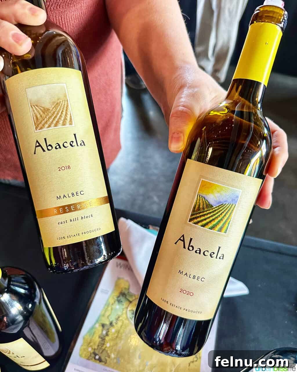 Malbec Takes Root: Oregon's Unexpected Wine Story 5 Hands holding two bottles of Abacela malbec wines.
