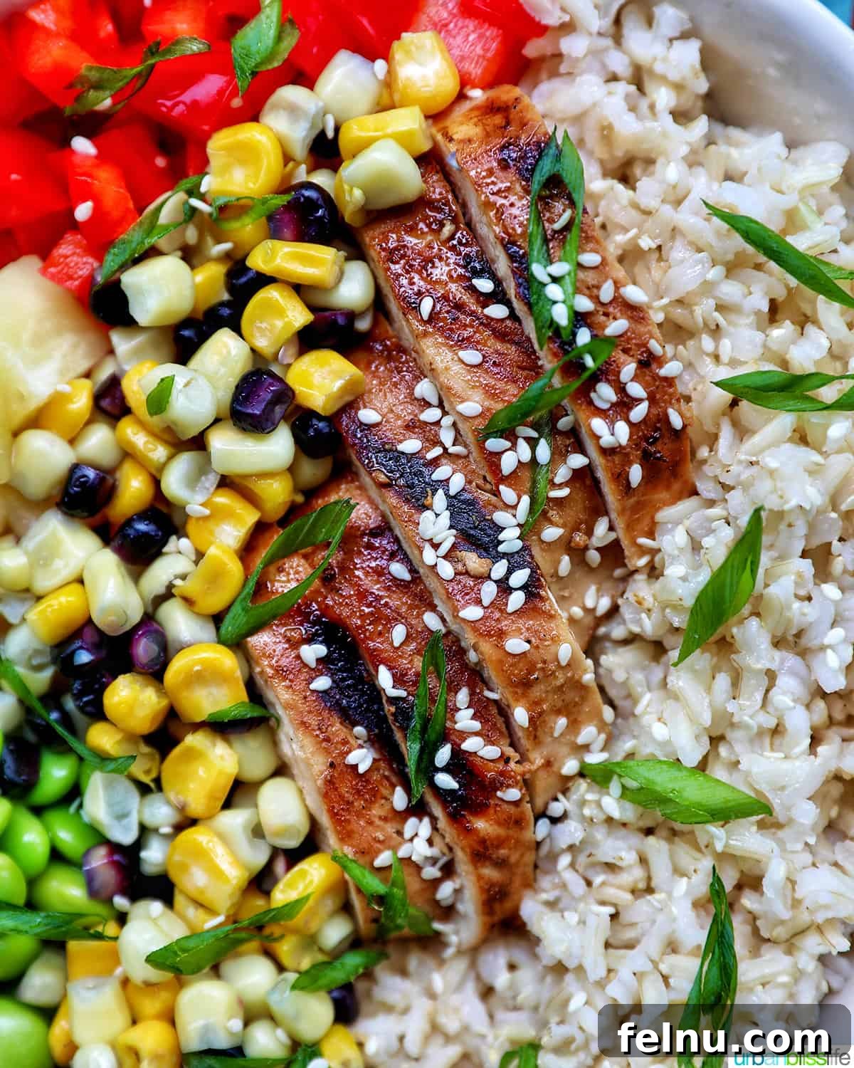 Chicken Teriyaki Bowl 3 Overhead view of Chicken Teriyaki Donburi with various toppings
