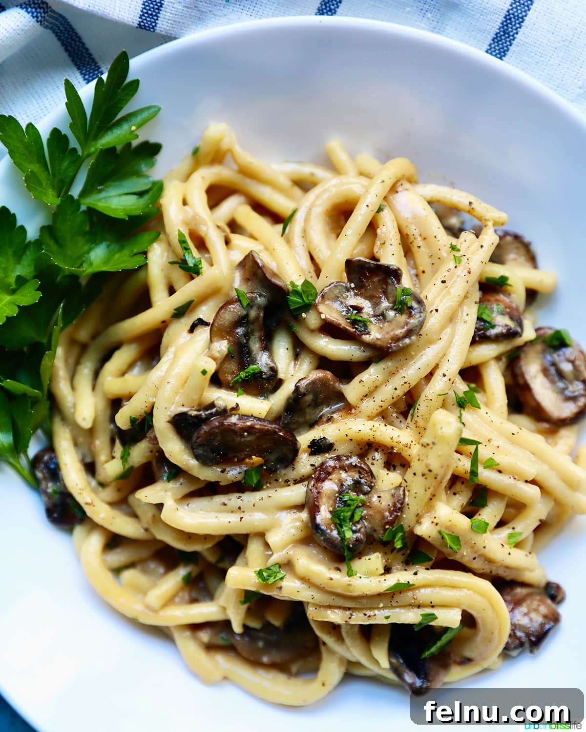Uncorking Pasta Perfection 13 Creamy Pasta with Crispy Mushrooms FEATURE
