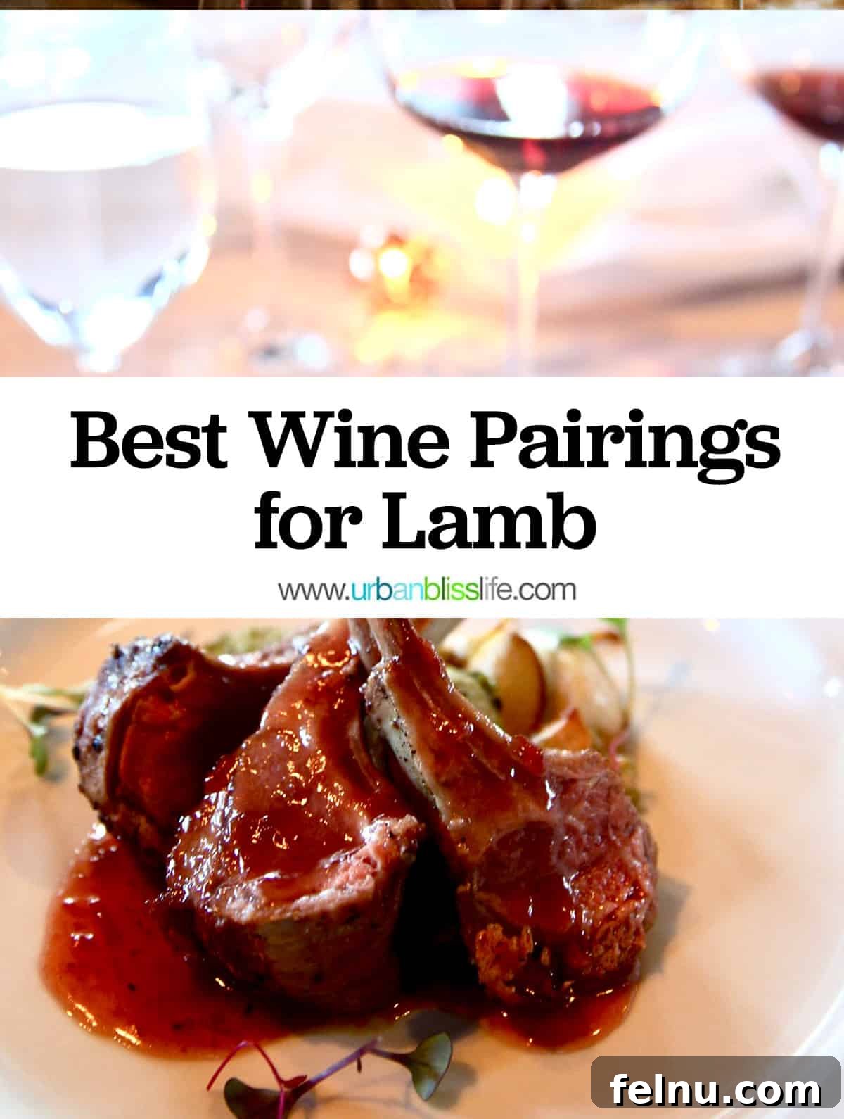 Lamb chops on a plate with two glasses of red wine, showcasing the best wine pairings for lamb.